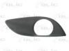 TOYOT 814810D100 Ventilation Grille, bumper
